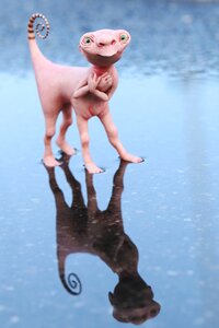 Reflection small
