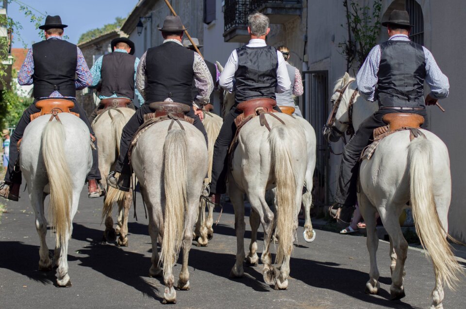 Horses riders saddles