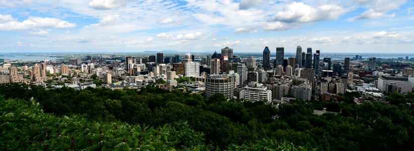 City landscape buildings photo