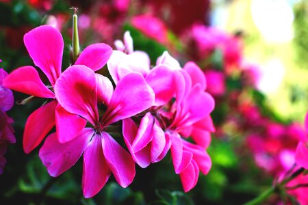 Nature color beautiful
