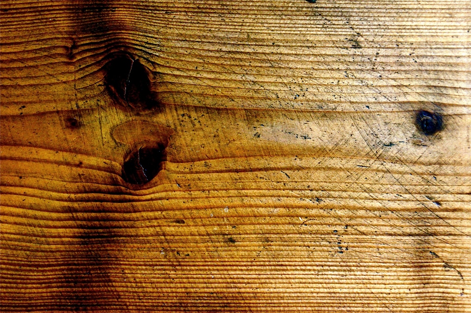 Branch knothole brown
