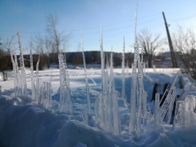 Icicles beautiful nature photo