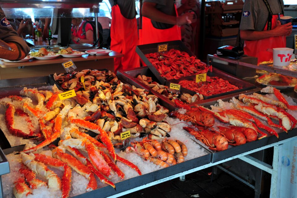 Norway mountains fish market photo