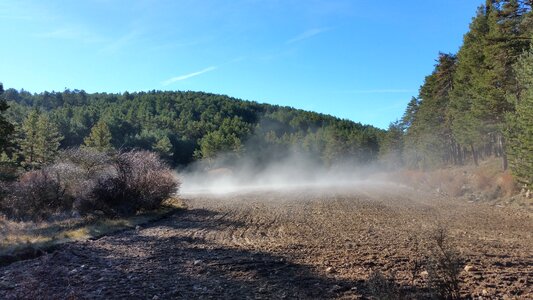 Field nature winter