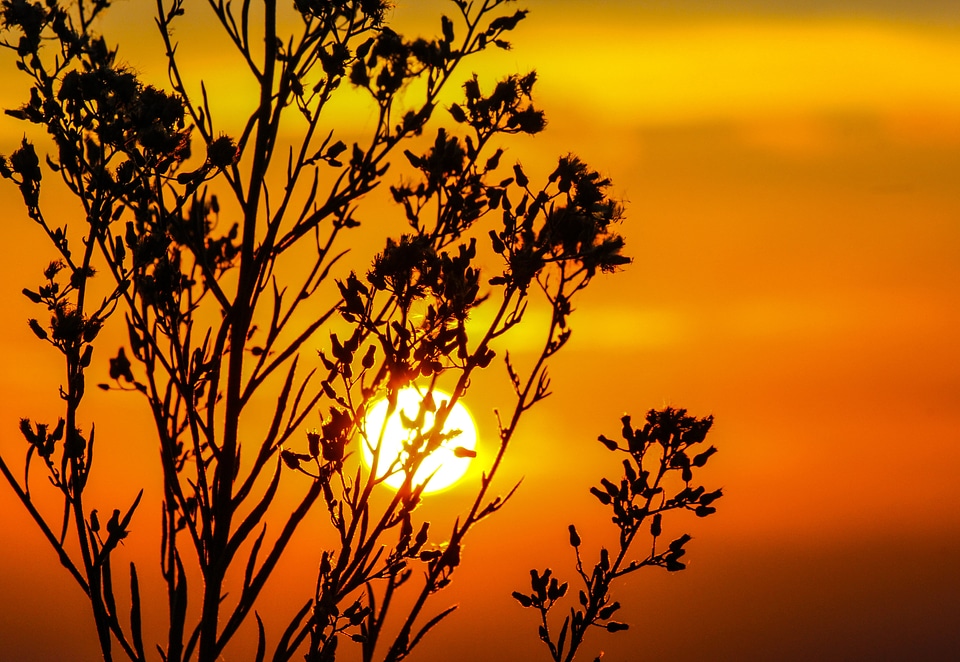 Orange dusk twilight