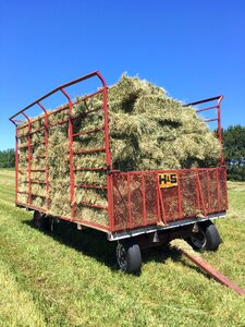 Agricultural summer hay bale