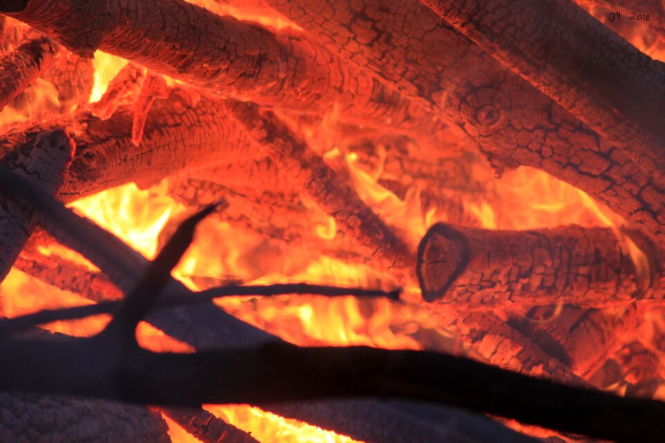 Wood campfire flame