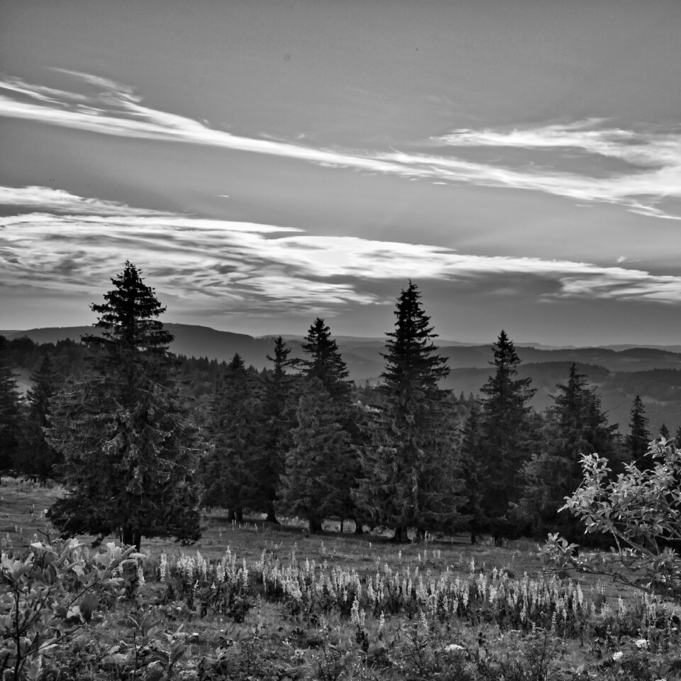 Nature rural mood