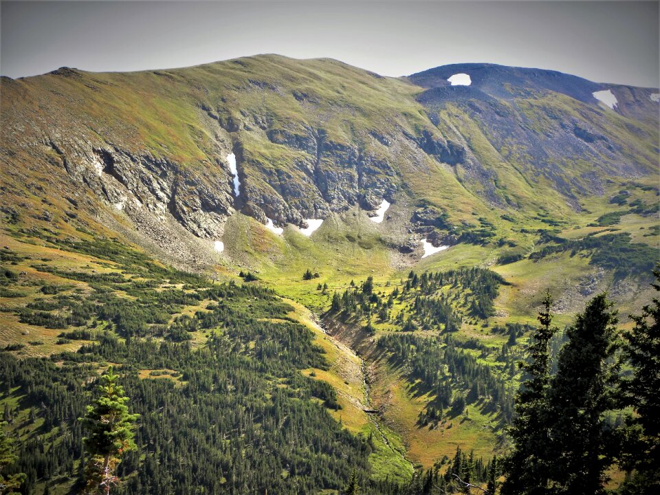 Forest national park scenic