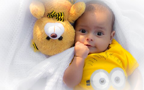 Animals babe small
