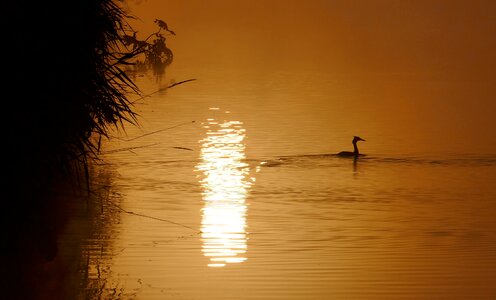 Sunrise lake waters photo