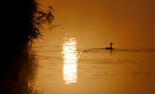 Sunrise lake waters