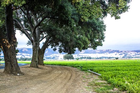 Natural farming outdoor