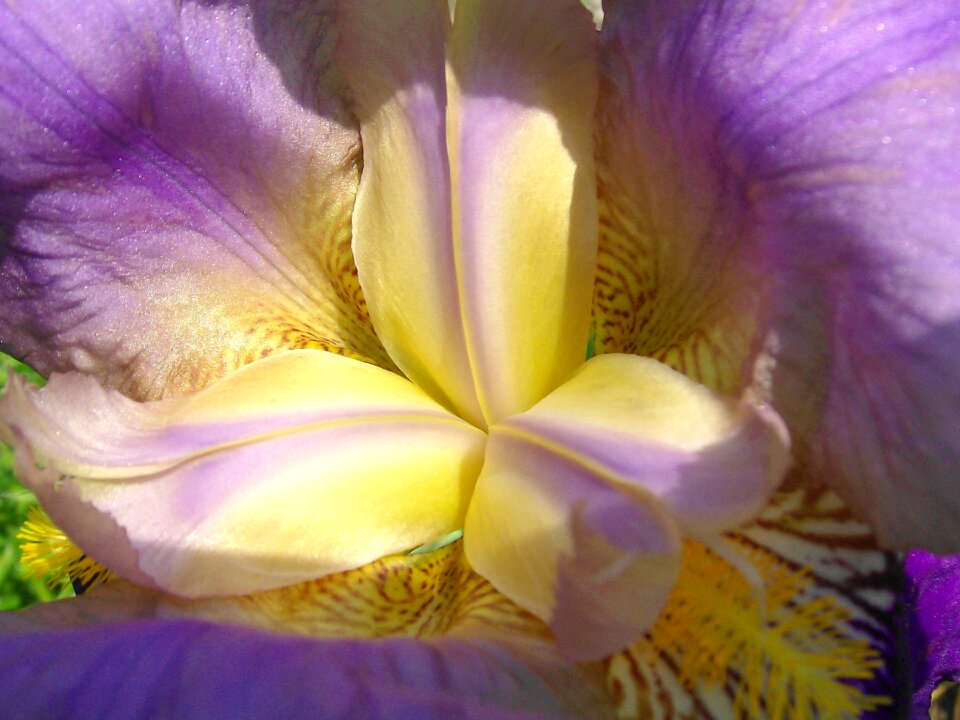 Macro romantic light