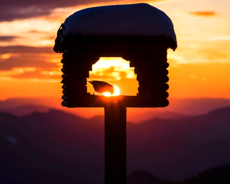 Birdhouse snow winter