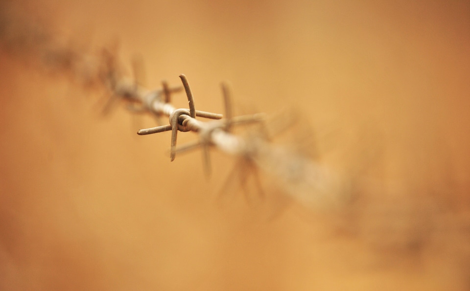Sharp barbed security