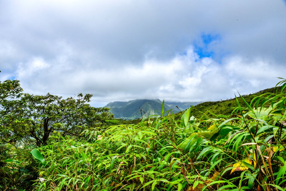 St vincent and the grenadines blue table