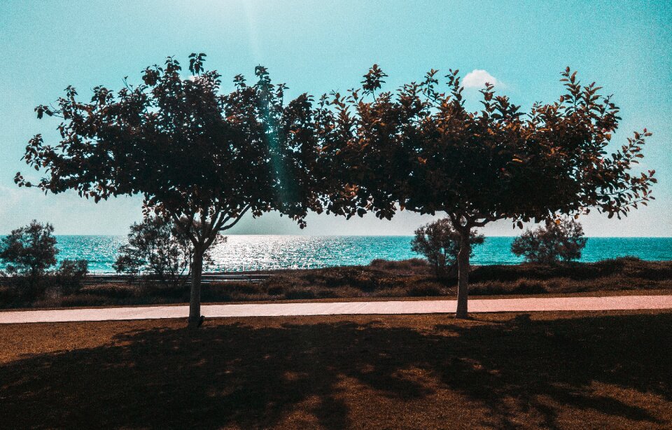 Photography hotomobile nature