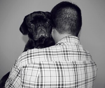 Black pug dogs and owners