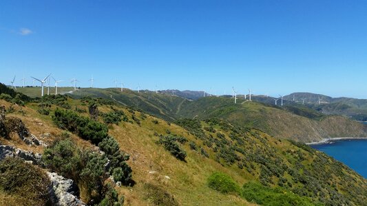 Wellington wind turbines