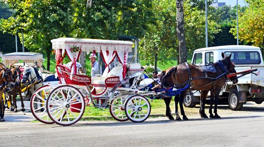 Nostalgia transportation horse