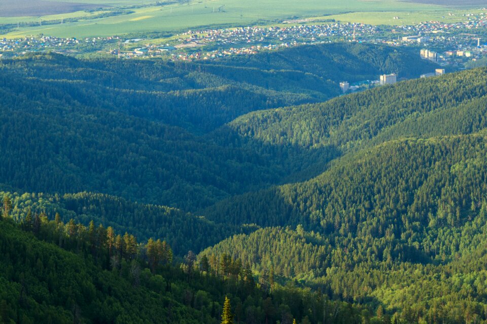 Mountains forest trees