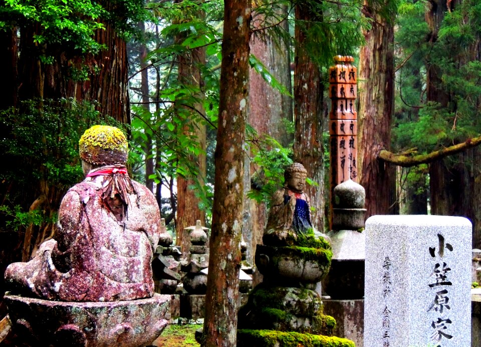 Buddhism jizo forest