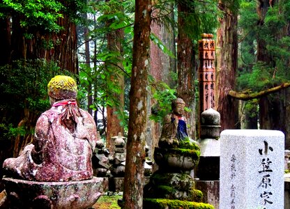 Buddhism jizo forest photo