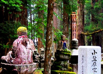 Buddhism jizo forest