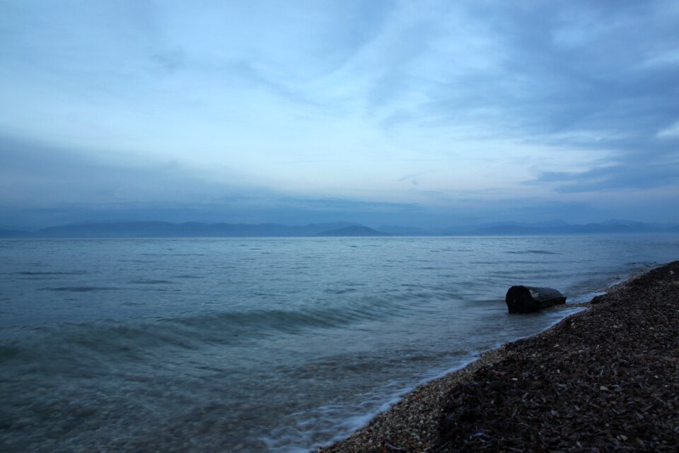Beach tree trunk blue