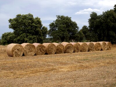 Agriculture rural landscape farm photo