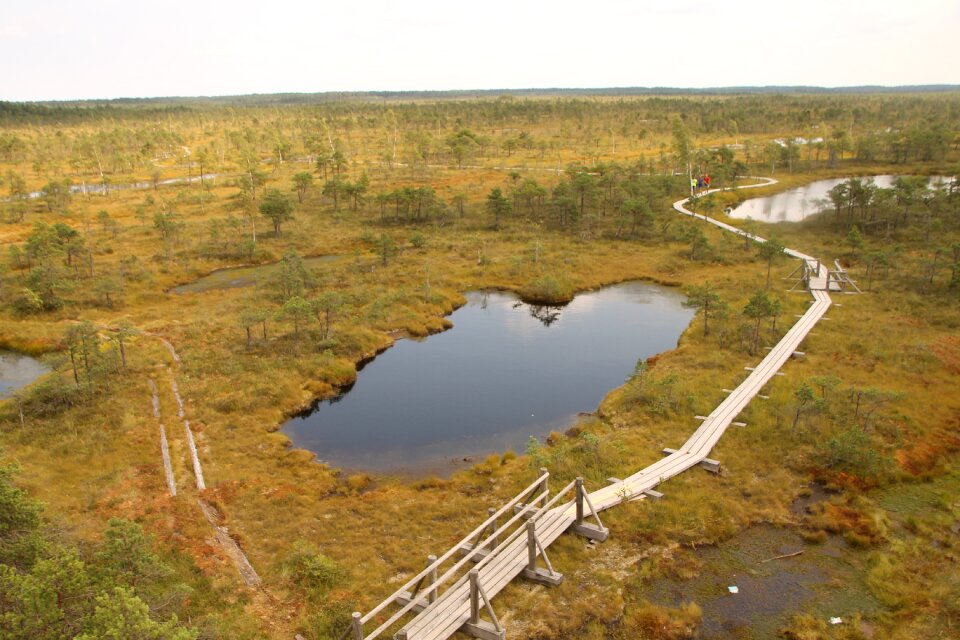 Scenic peacful landscape