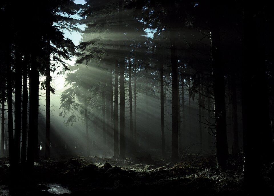 Landscape fairytale dark