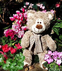 Childhood cute garden