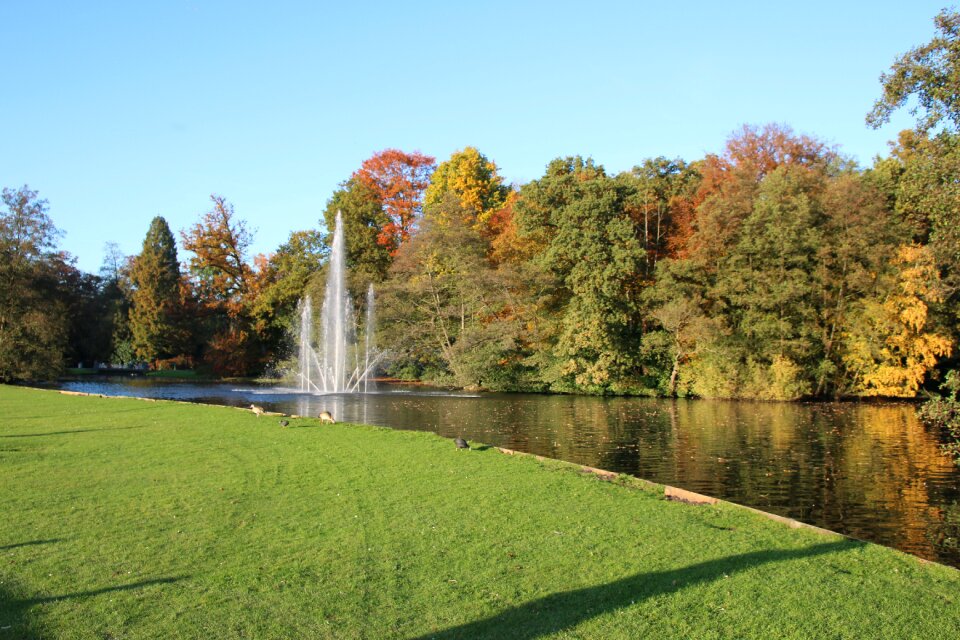 Landscape outdoor green