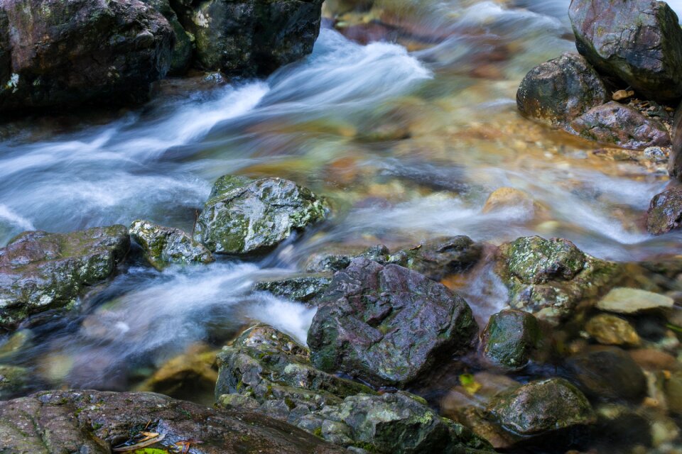 The scenery rock forest