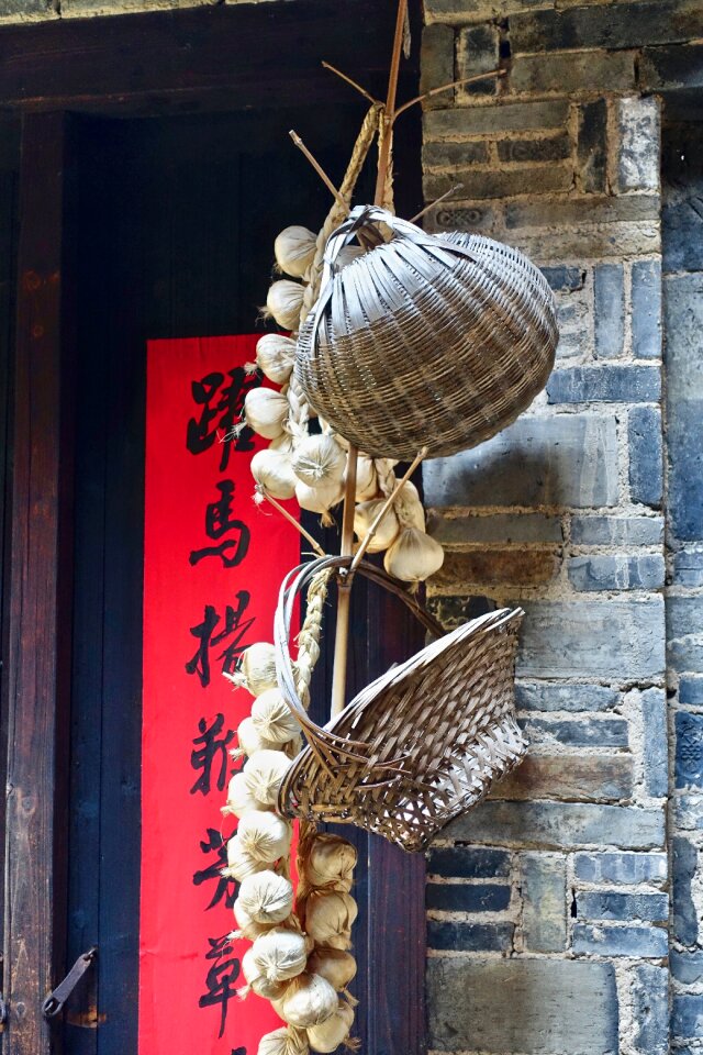 Hanging culture exotic
