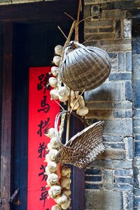 Hanging culture exotic