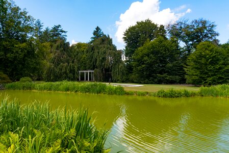 Trees pond gazebo