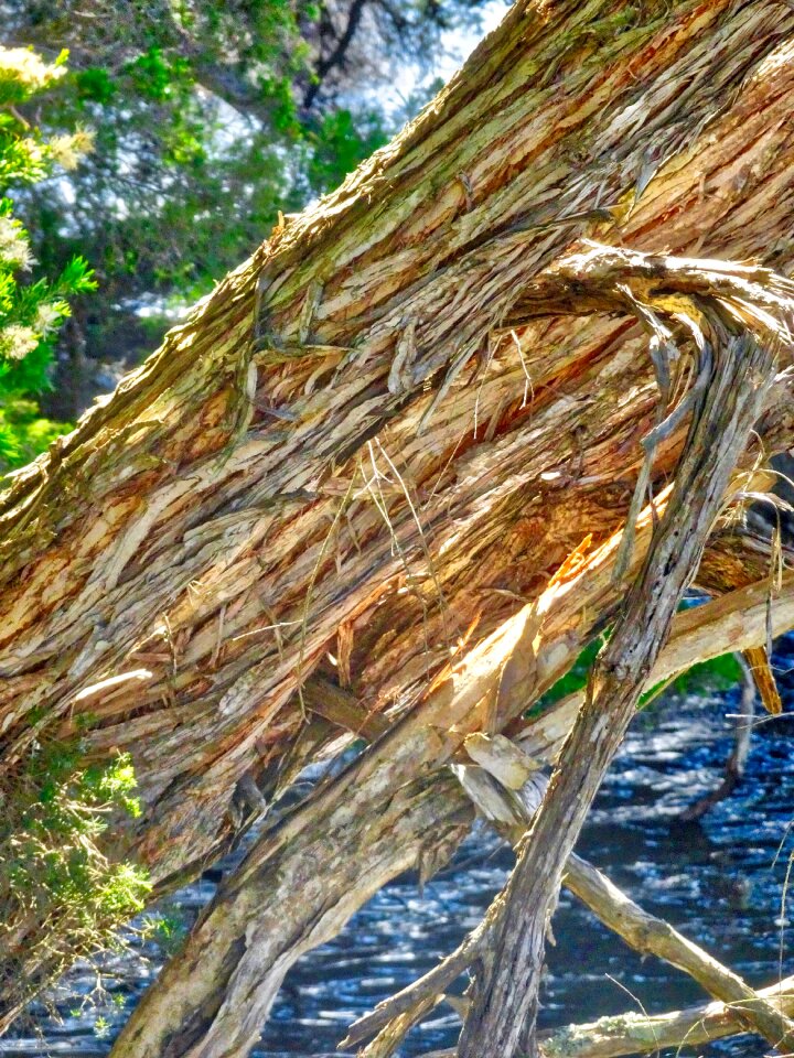 Nature texture surface