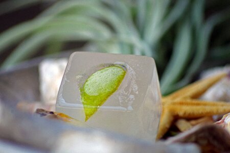 Summer cold ice cubes photo