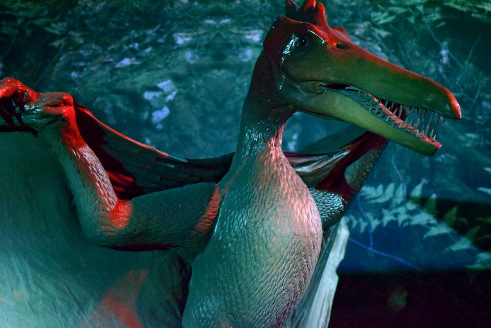 Dino prehistory extinct