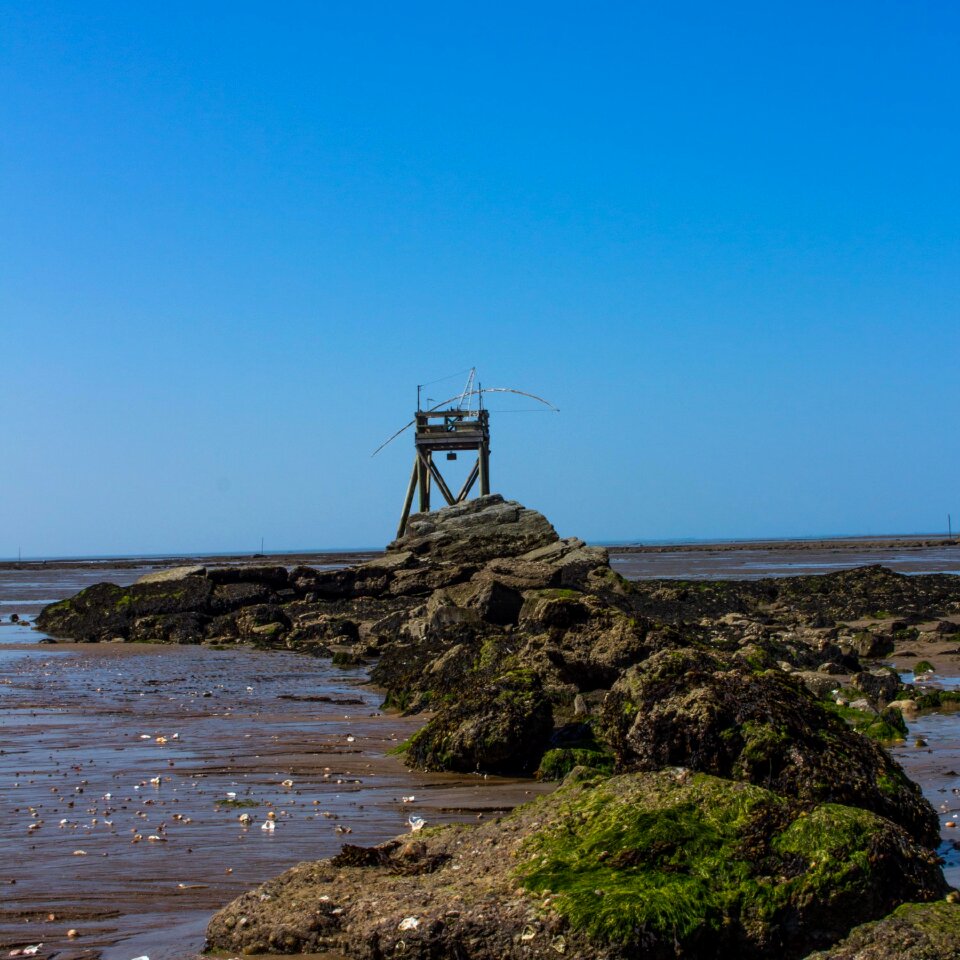 Fishing sea side photo