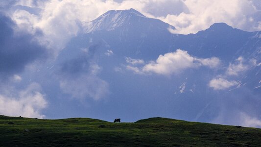 Switzerland mountains nature
