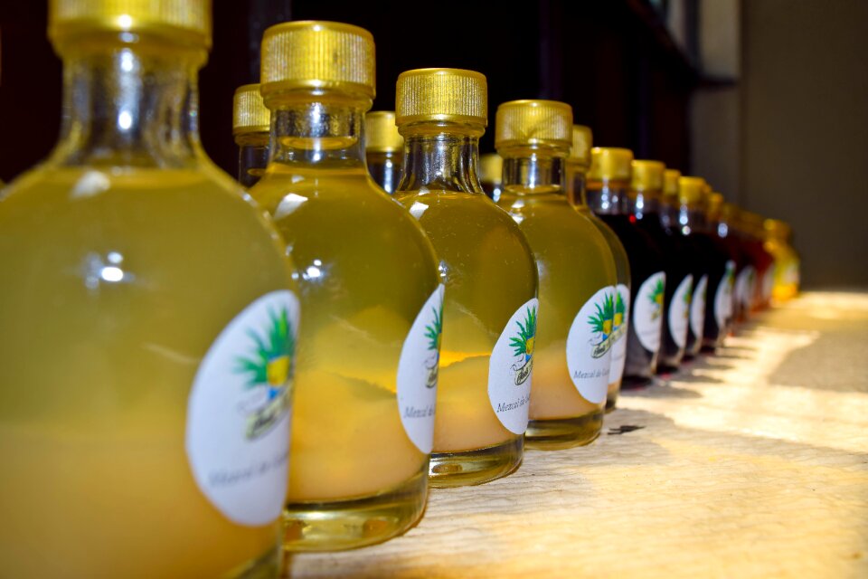 Drink alcohol agave