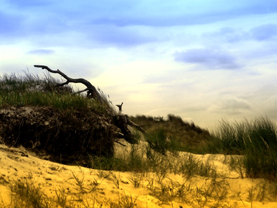 Beach nature sea photo