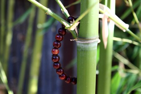 Bracelet zen green meditation photo