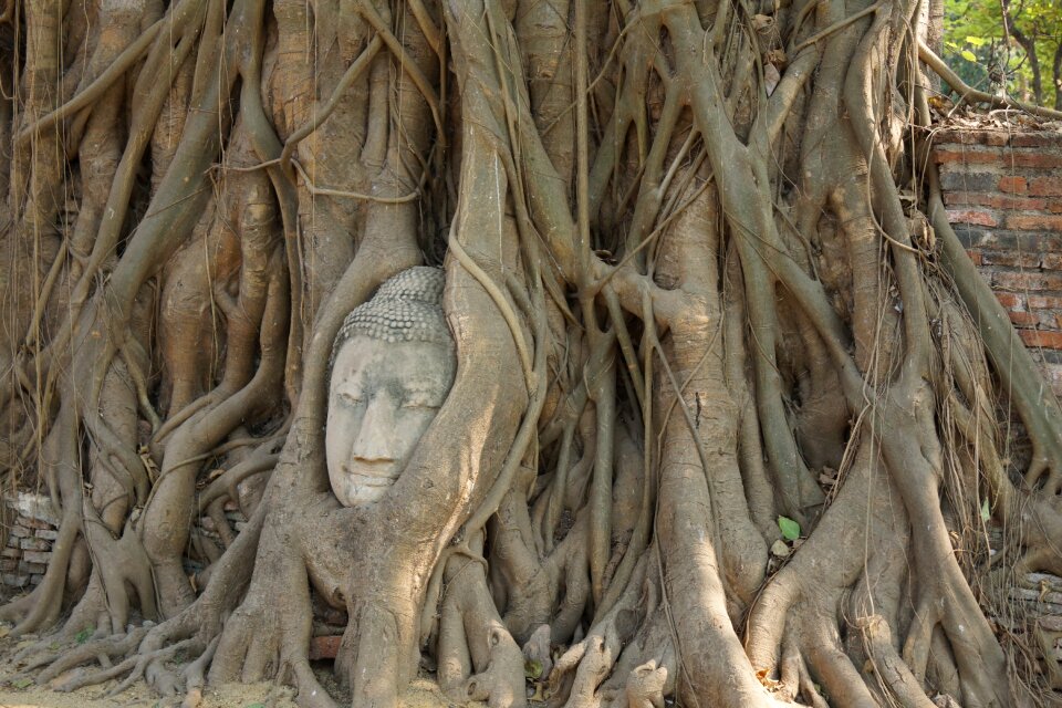 Vacations asia buddha