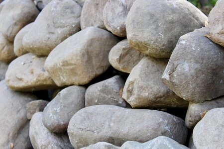 Stone gray snake