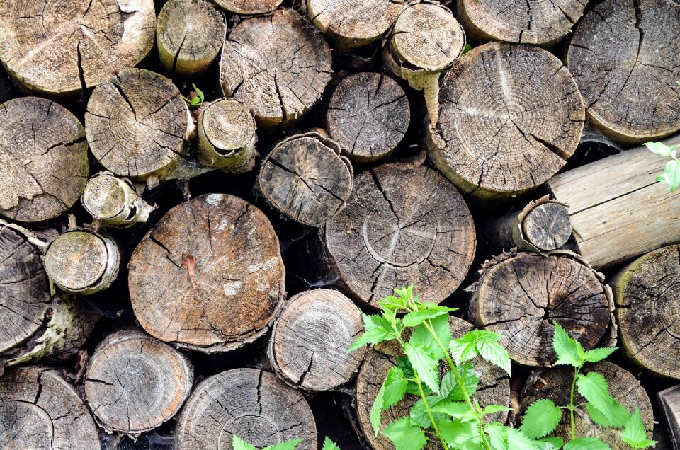 Firewood holzstapel stack